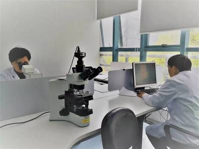 上海公司專業健康體檢與檢驗科服務，守護您的健康生活