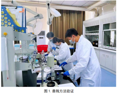 興安盟農(nóng)畜產(chǎn)品質量安全檢驗檢測中心啟動33項獸藥殘留擴項及室內環(huán)境檢測工作