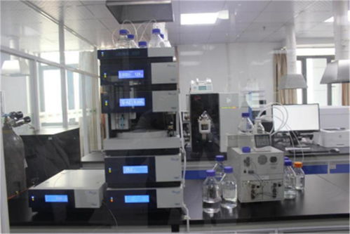 琪譜檢測 襄陽專業(yè)食品檢測服務與高清實景展示